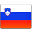 Slovenia-Flag-icon-big